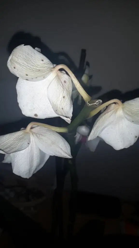 20150123_180822.webp