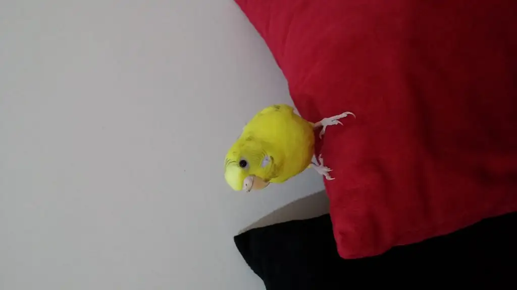 20150126_221431.webp