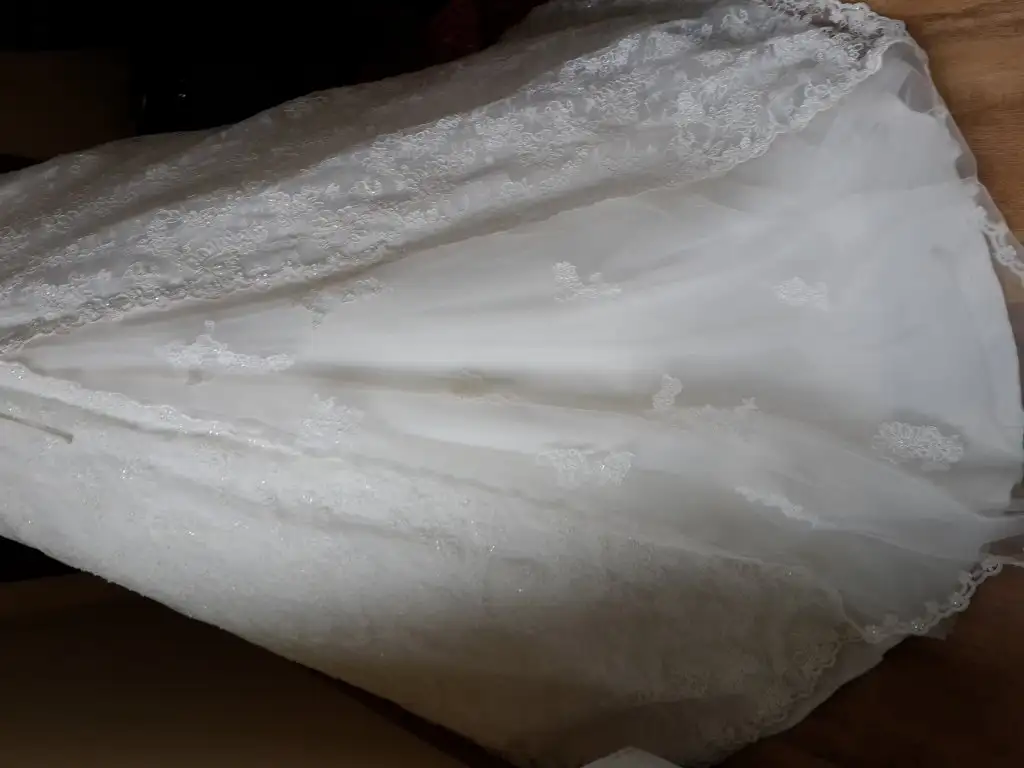 20150128_125018.webp