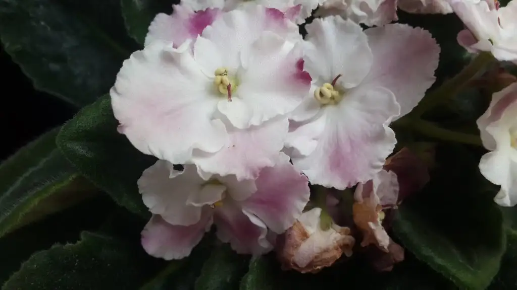 20150203_141804.webp