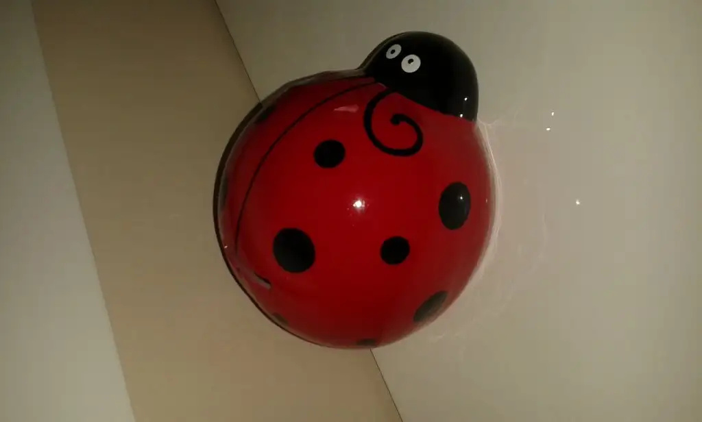 20150206_153723.webp