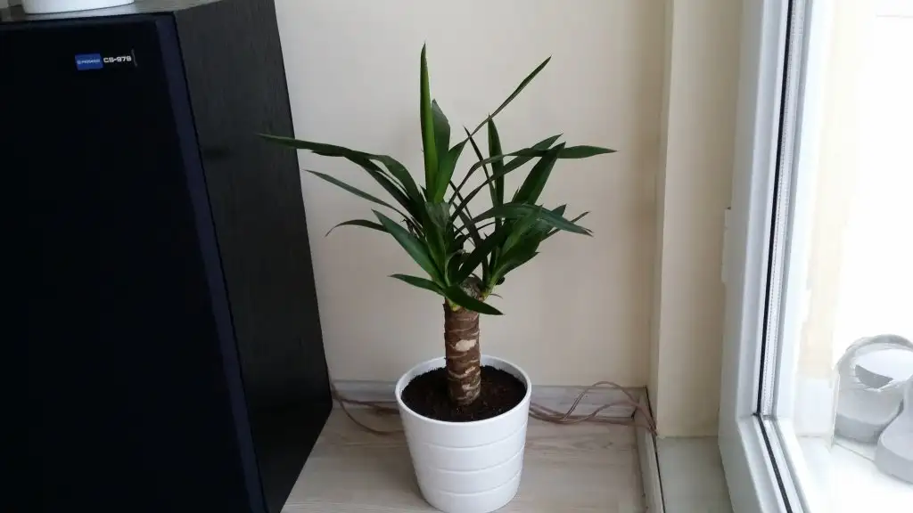 20150211_150751.webp