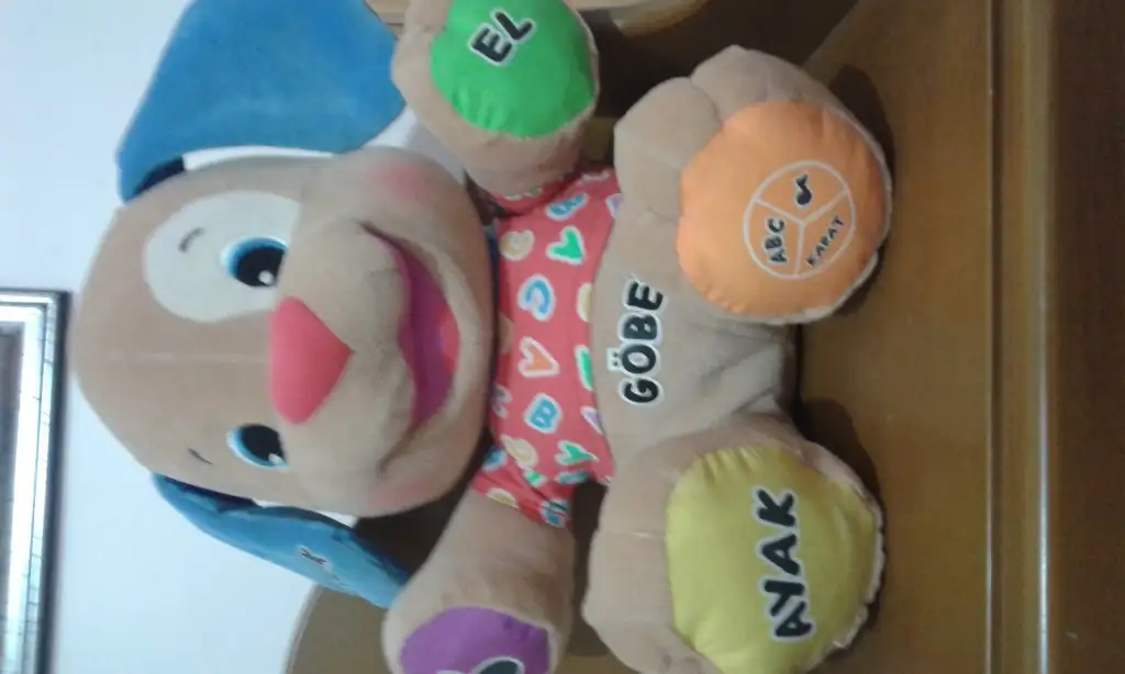 20150212_004557.webp
