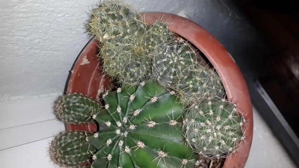 20150218_201529.webp