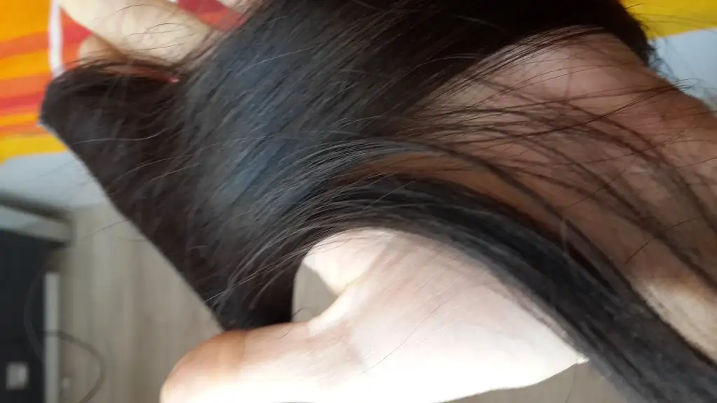 20150221_123746.webp