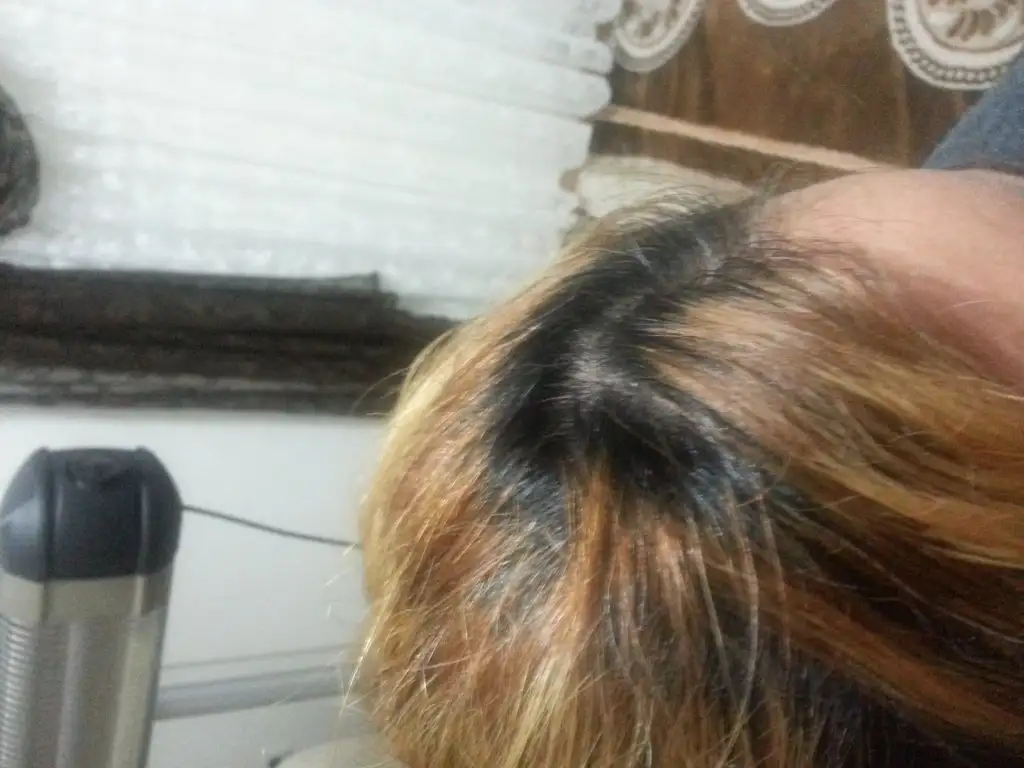 20150221_221607.webp