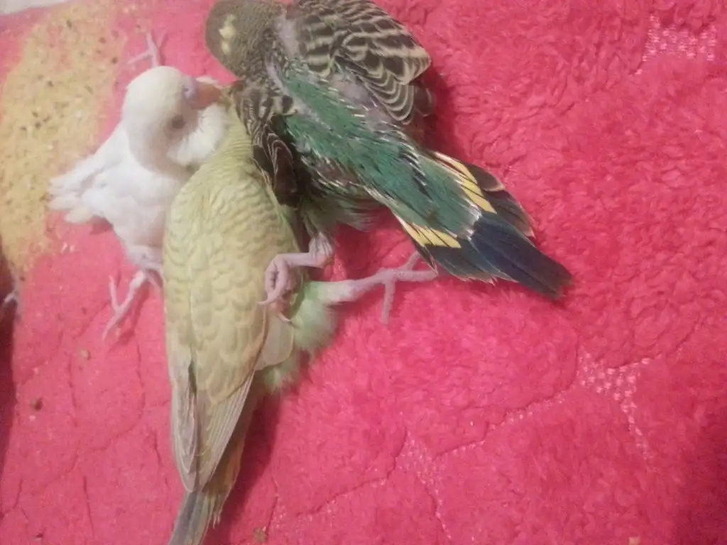 20150222_200550.webp