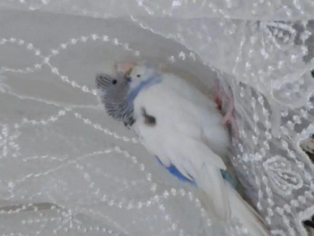 20150223_201235.webp
