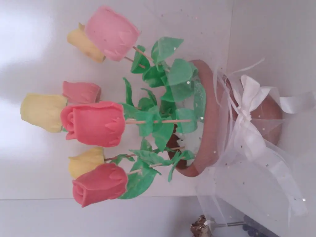 20150301_102853.webp