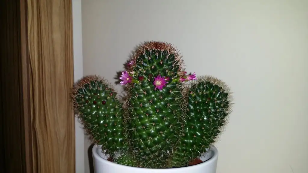 20150302_062552.webp