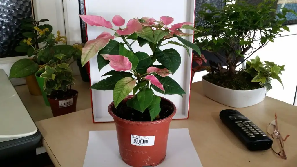 20150302_114700.webp