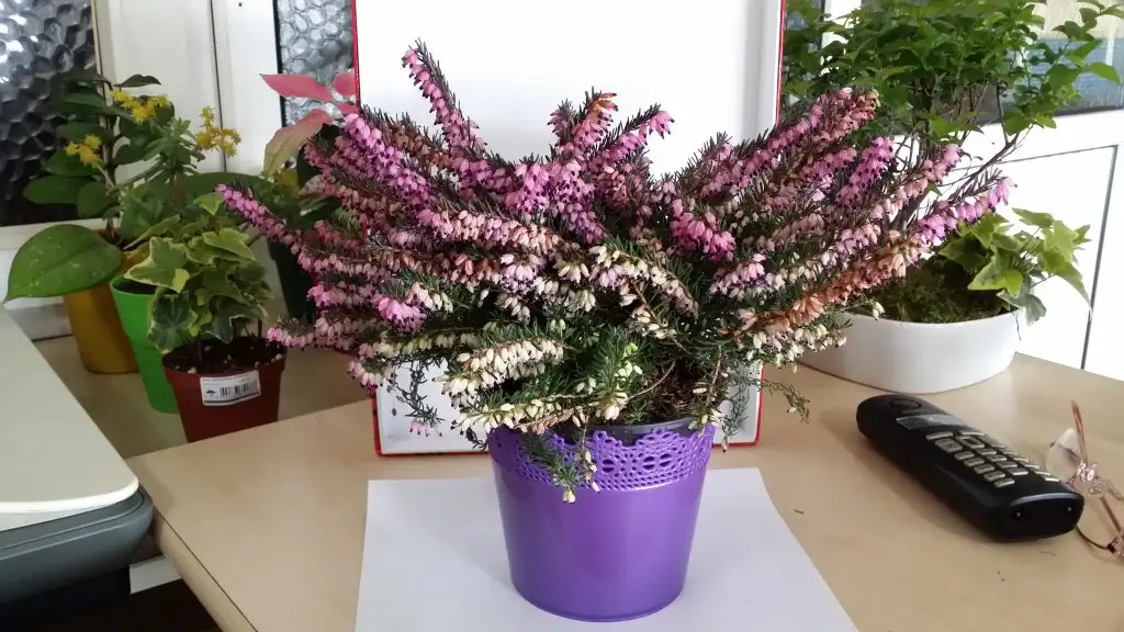 20150302_114836.webp