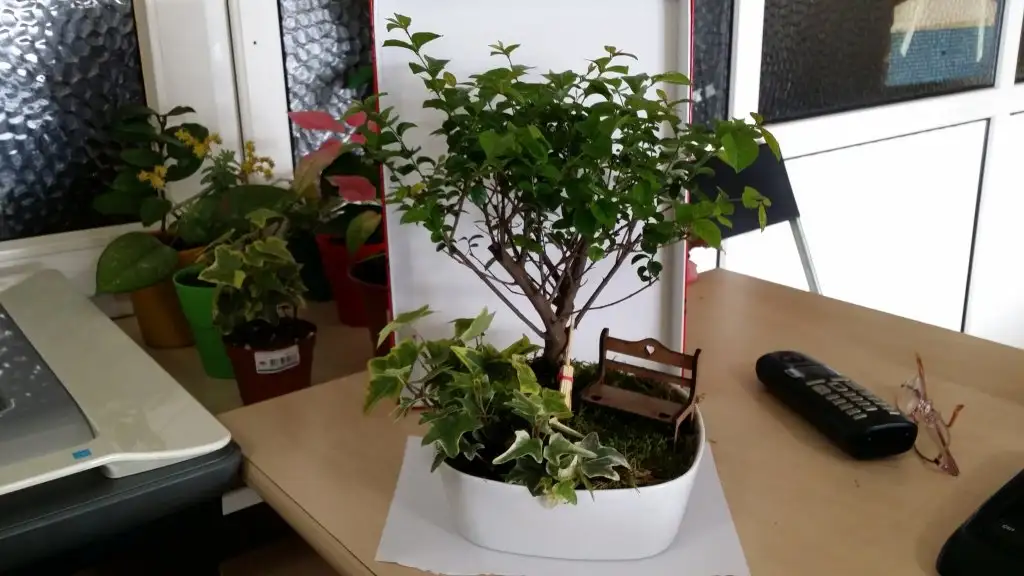 20150302_114922.webp