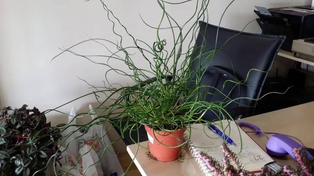 20150302_115101.webp