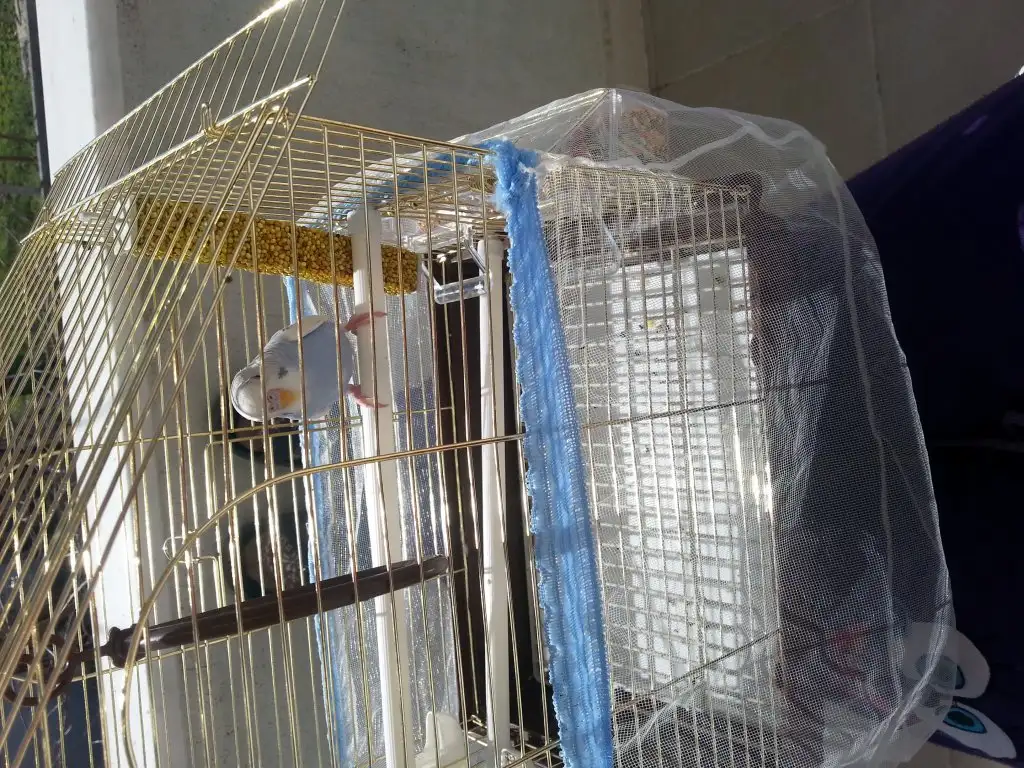 20150304_130053.webp