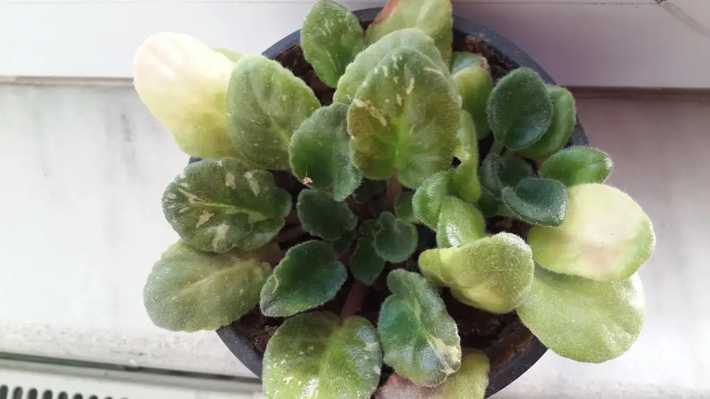 20150304_161611.webp
