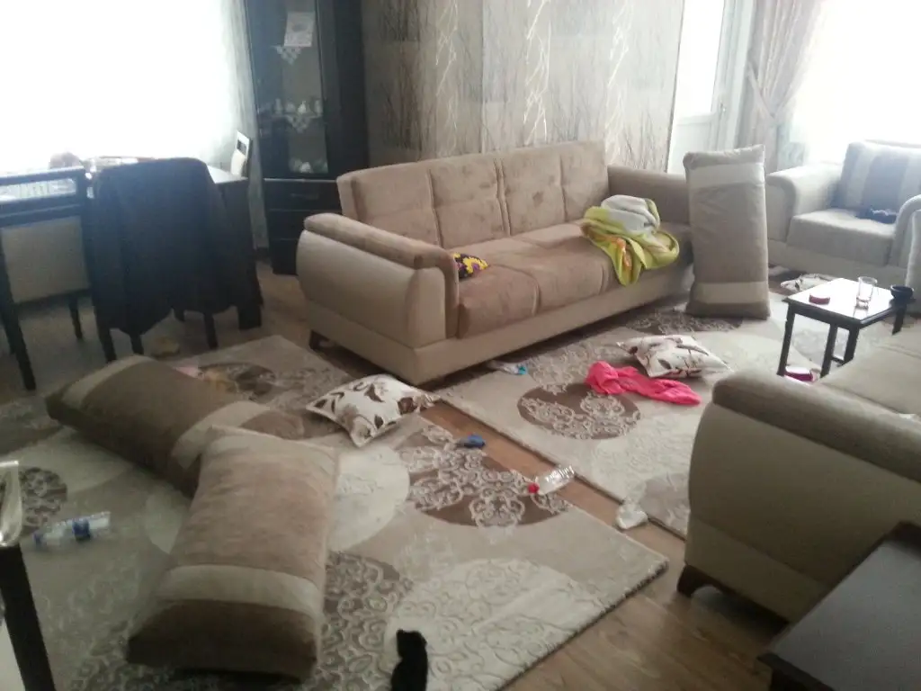 20150309_084954.webp