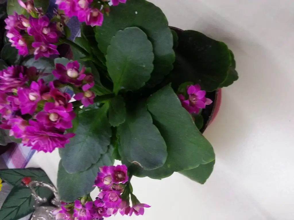 20150311_194634.webp