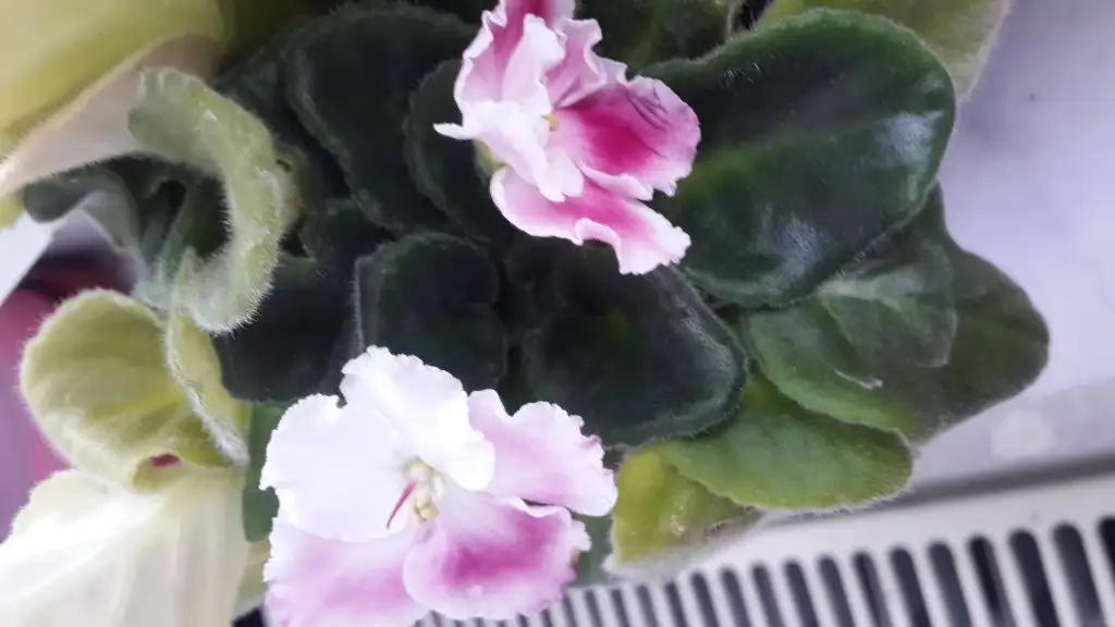 20150312_164507.webp