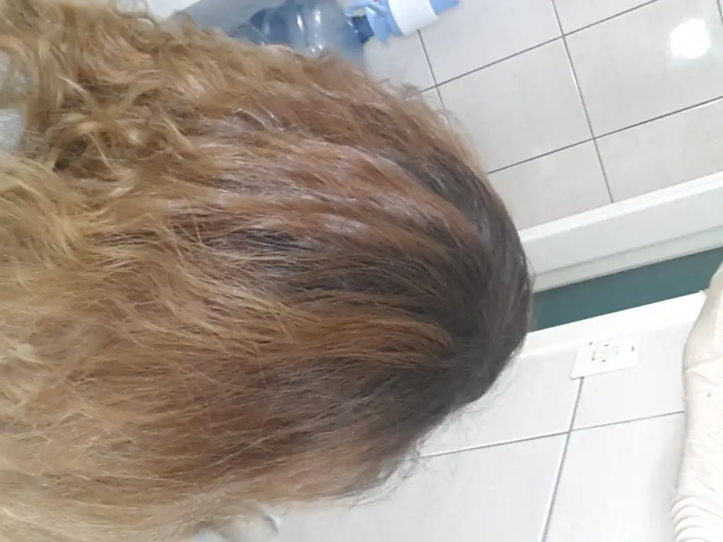 20150313_151150.webp
