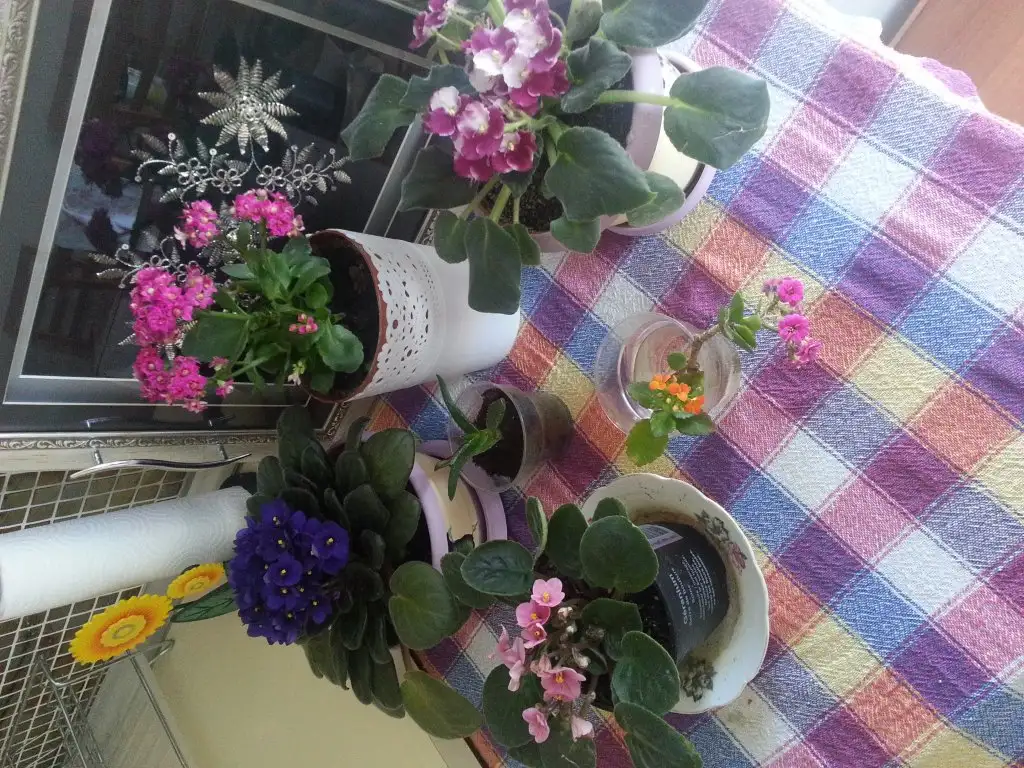 20150313_161103.webp