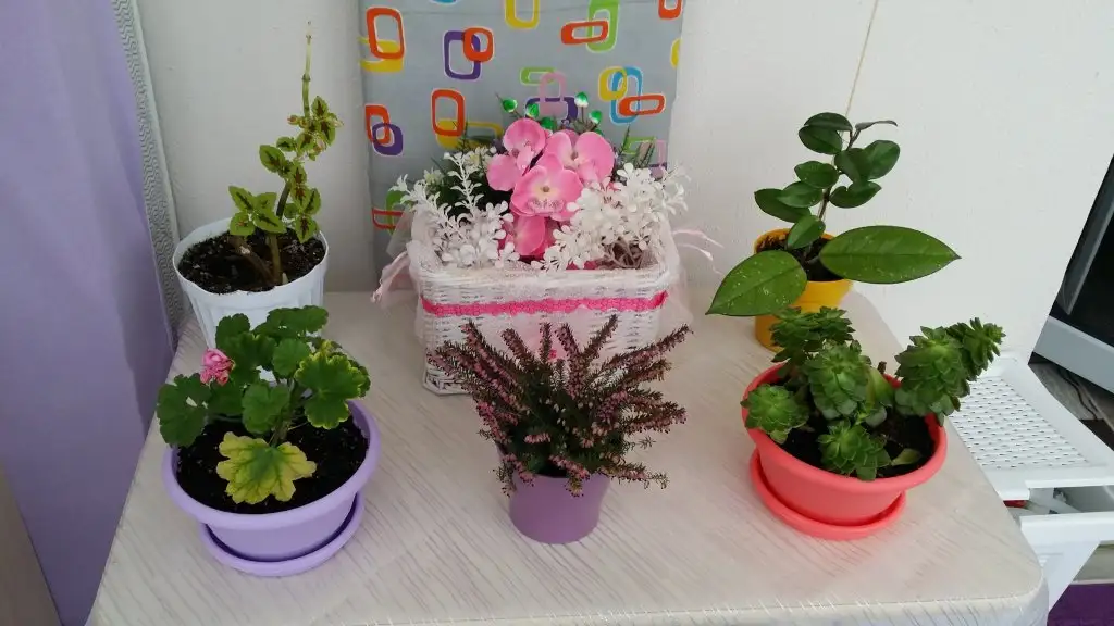 20150315_154533.webp