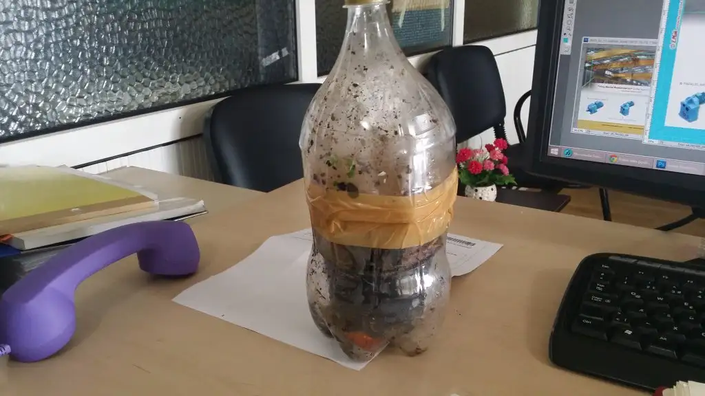 20150318_101048.webp