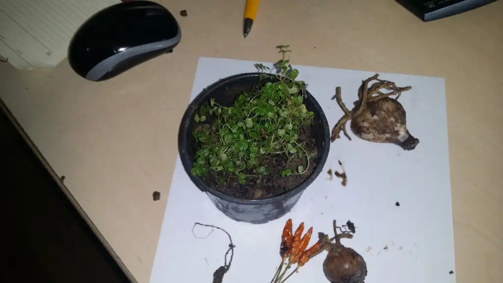 20150318_102003.webp