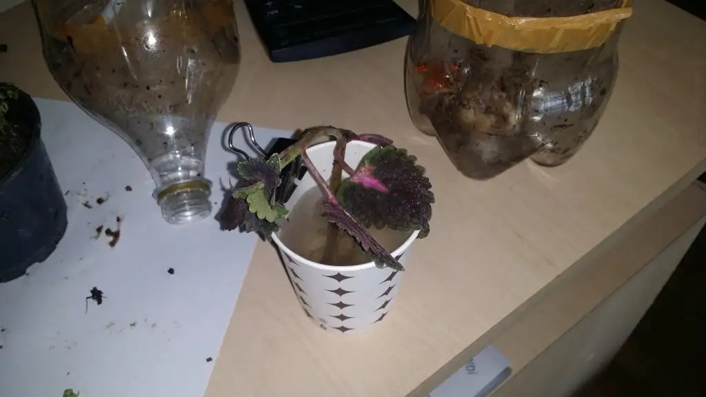 20150318_102227.webp