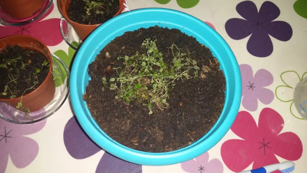 20150318_203910.webp