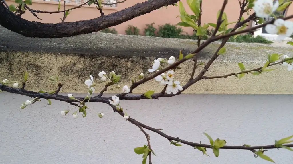 20150319_061954.webp
