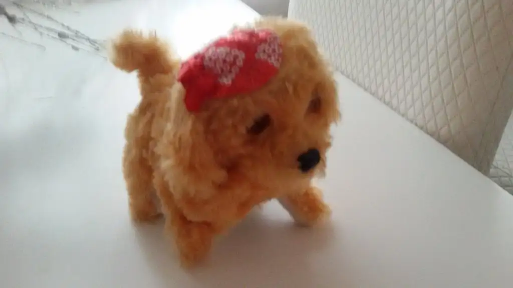20150408_081721.webp