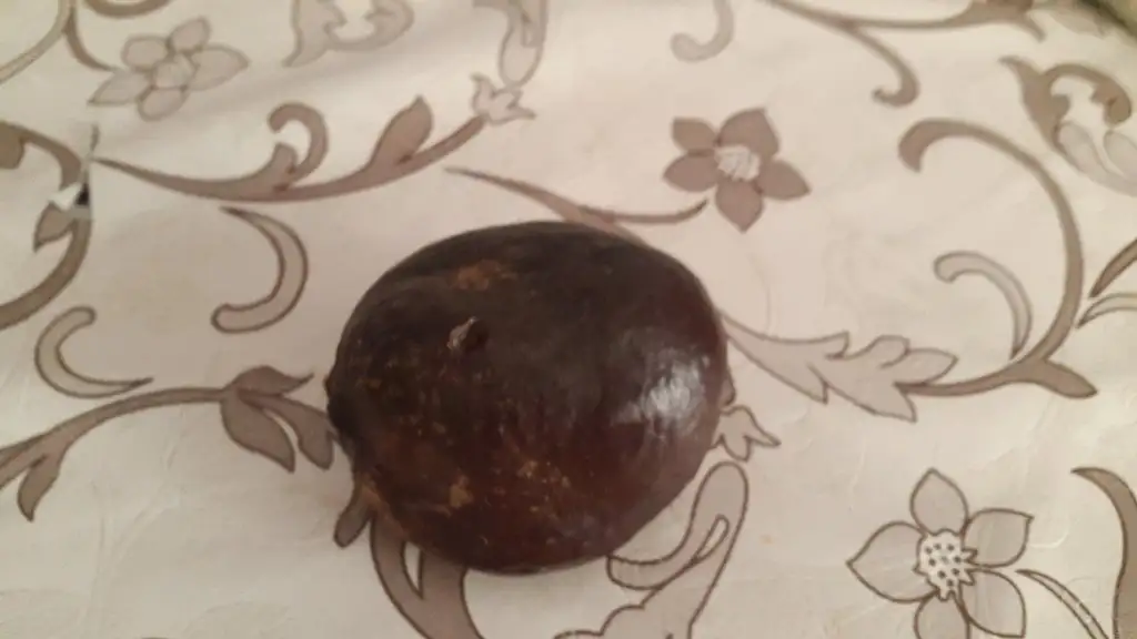 20150427_110533.webp