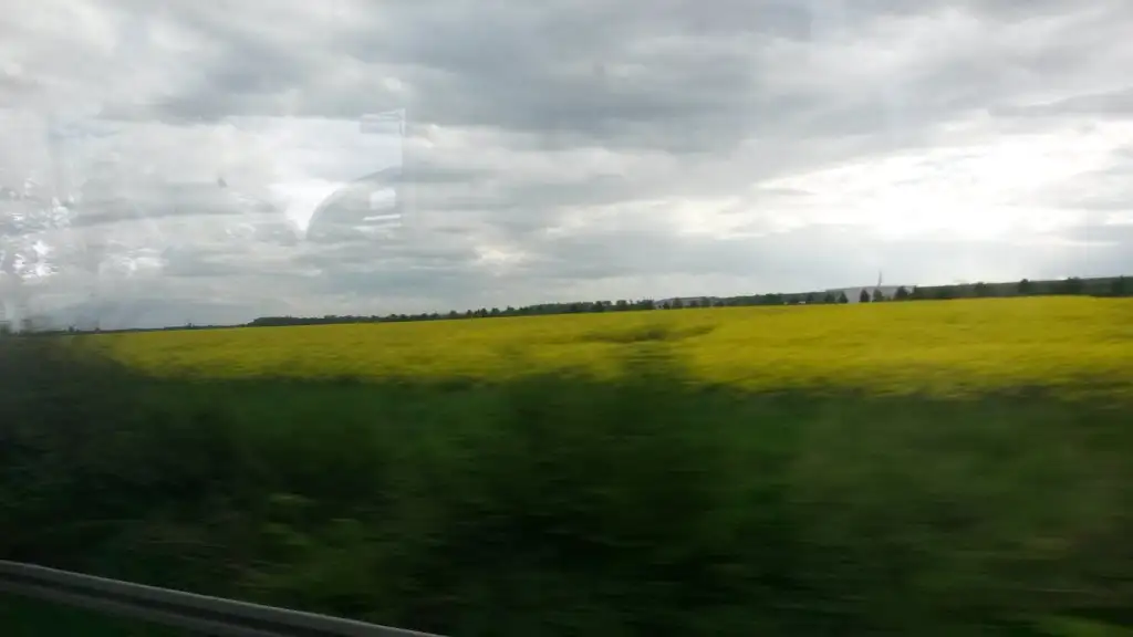 20150509_174116.webp