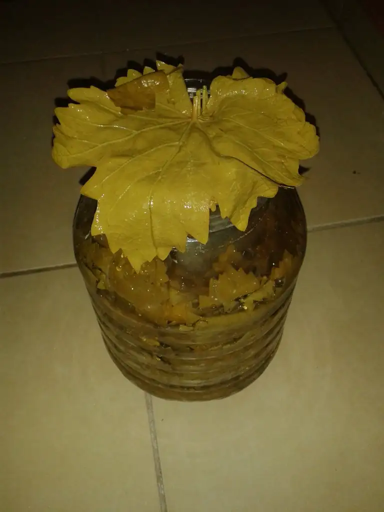20150520_212240.webp