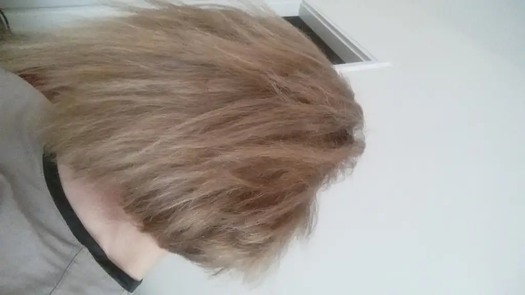 20150524_161338.webp