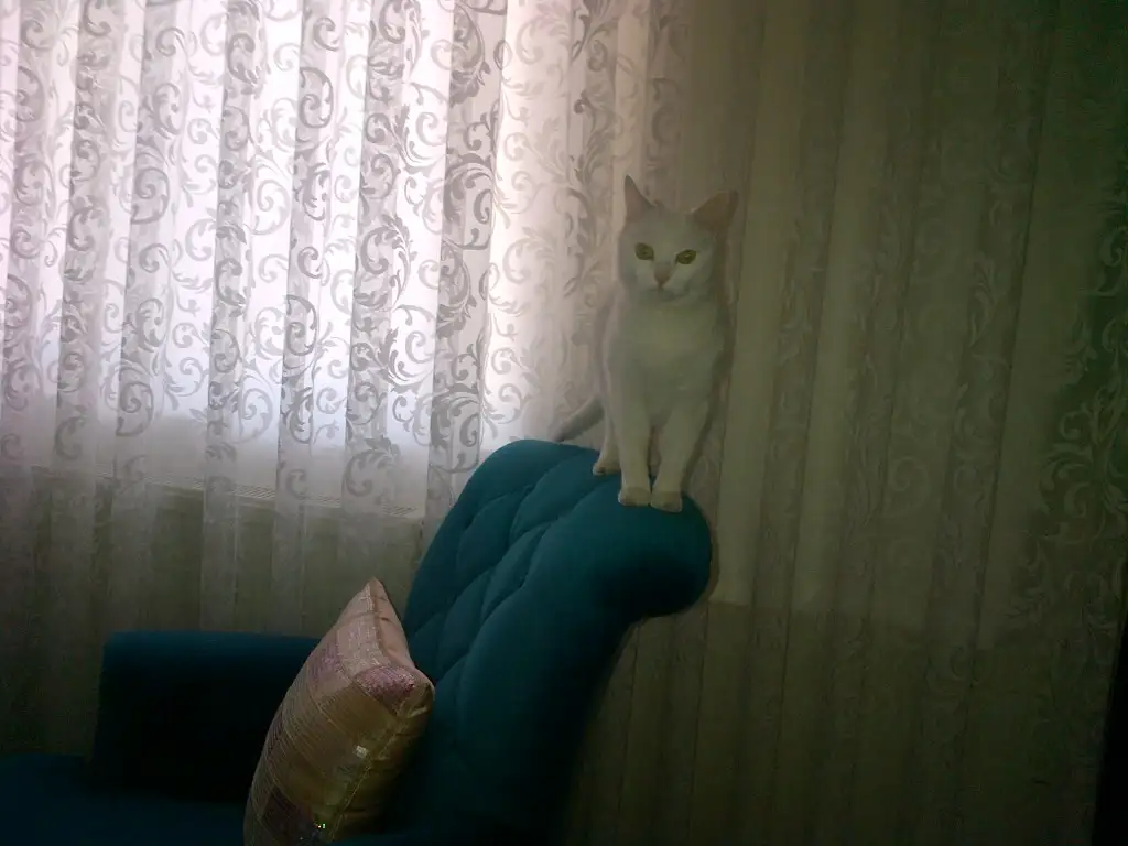 20150605032125.webp