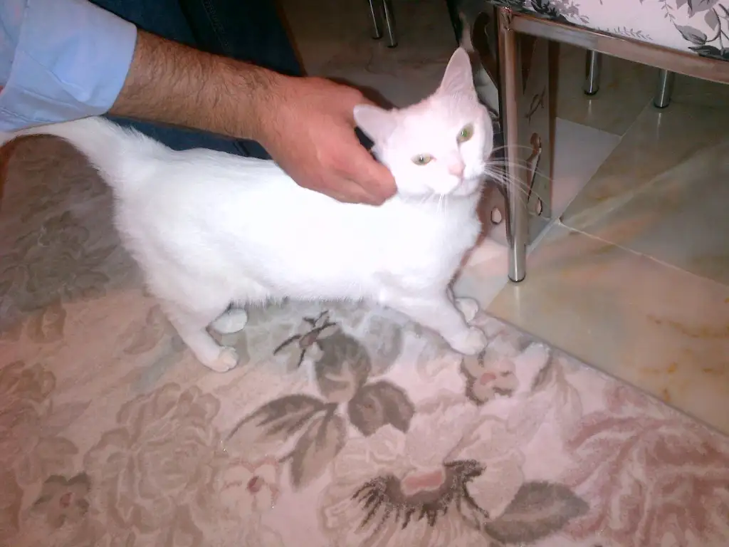 20150605032250.webp