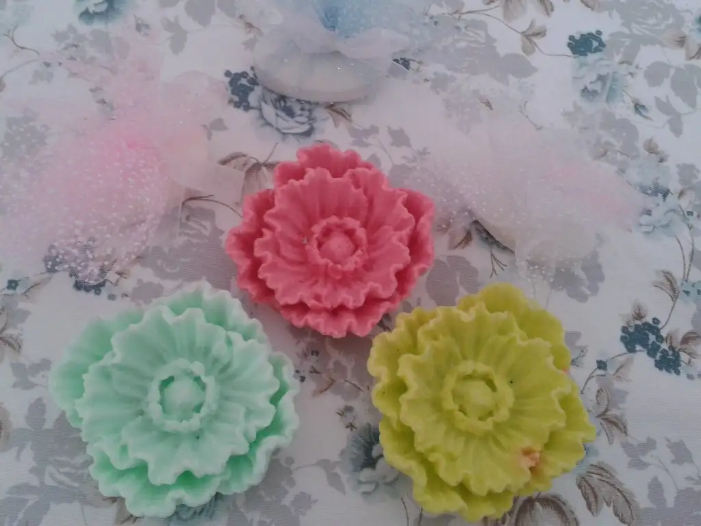 20150609_153853.webp
