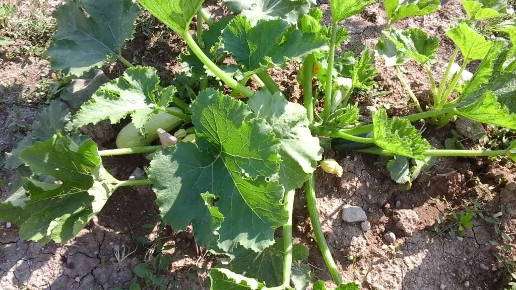 20150630_165606.webp
