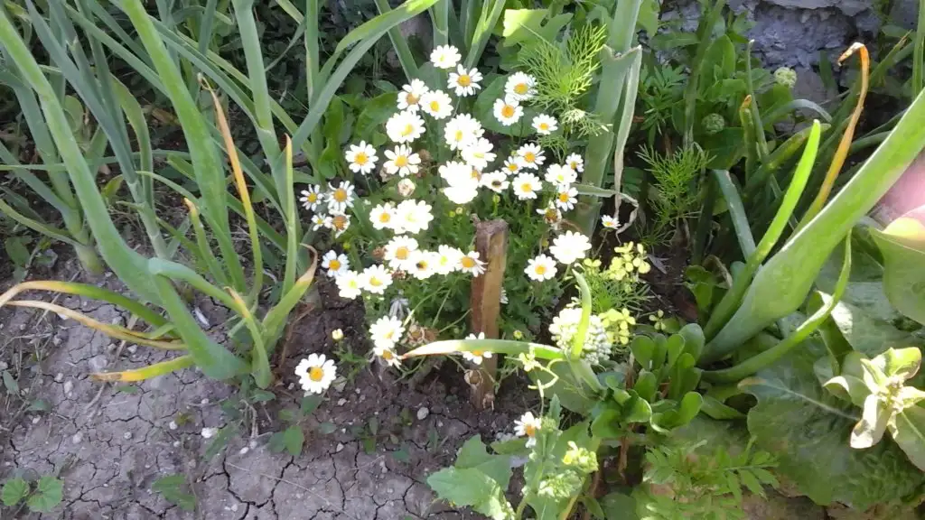 20150630_165736.webp