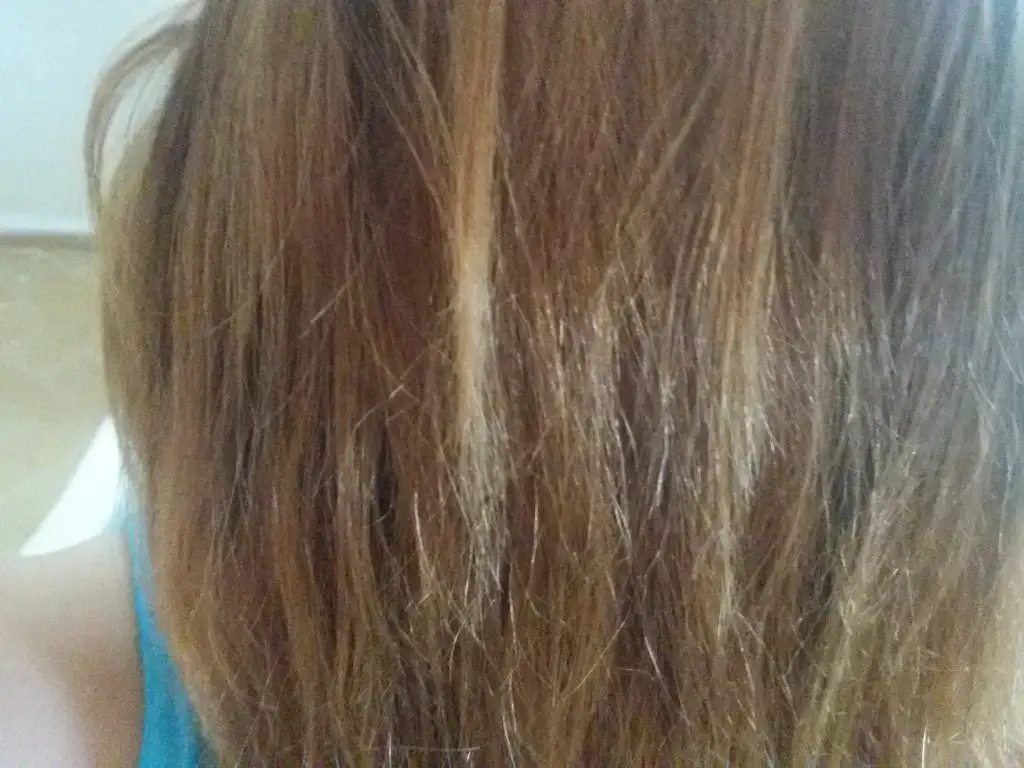 20150711_141619.webp