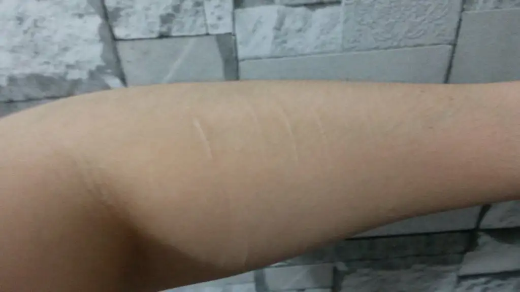 20150726_011557.webp