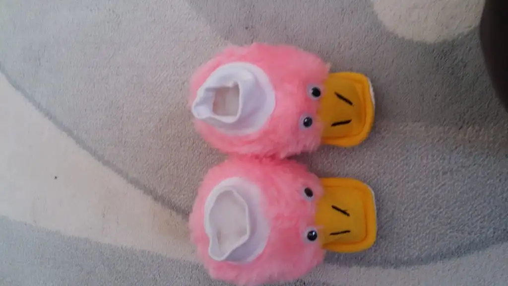 20150727_140340.webp