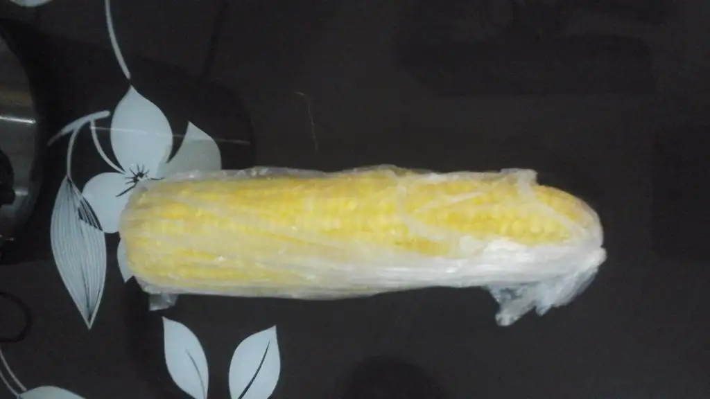 20150729_130406.webp