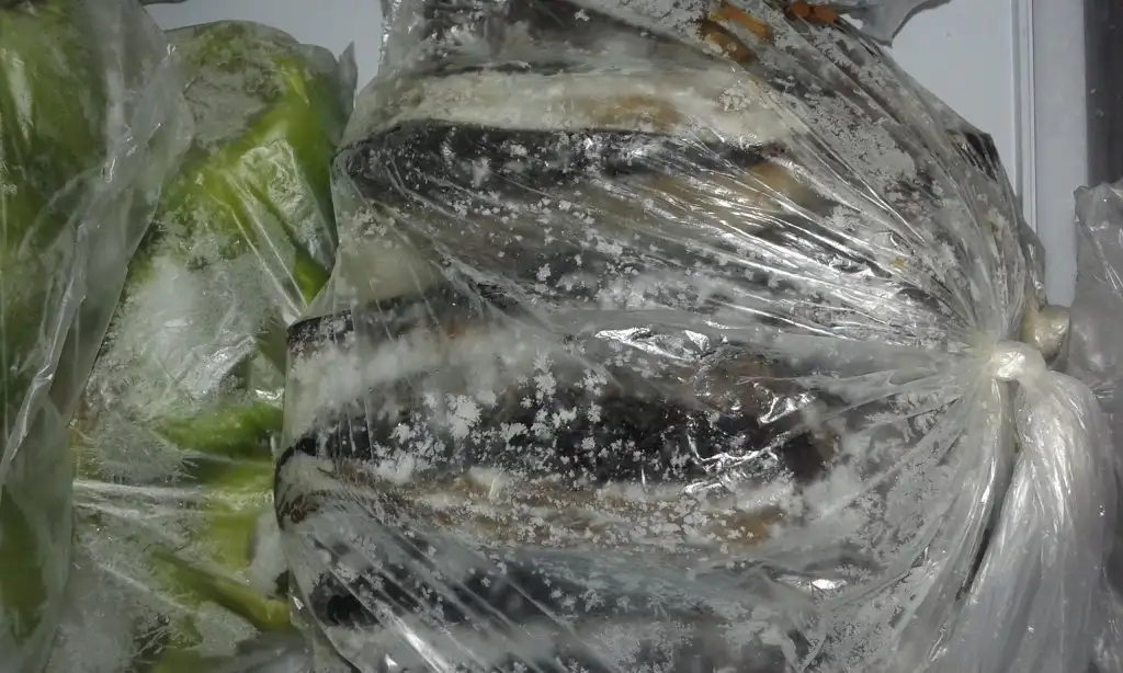 20150730_155810.webp