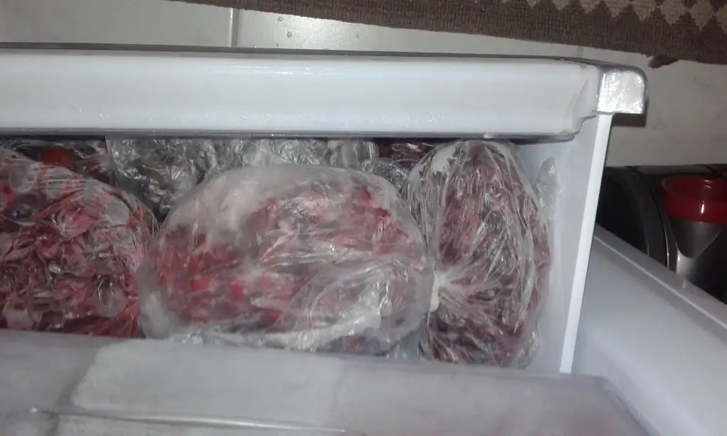 20150730_160132.webp
