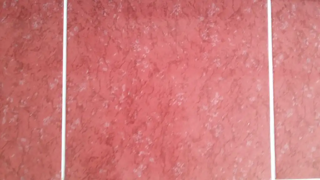 20150807_115516[1].webp