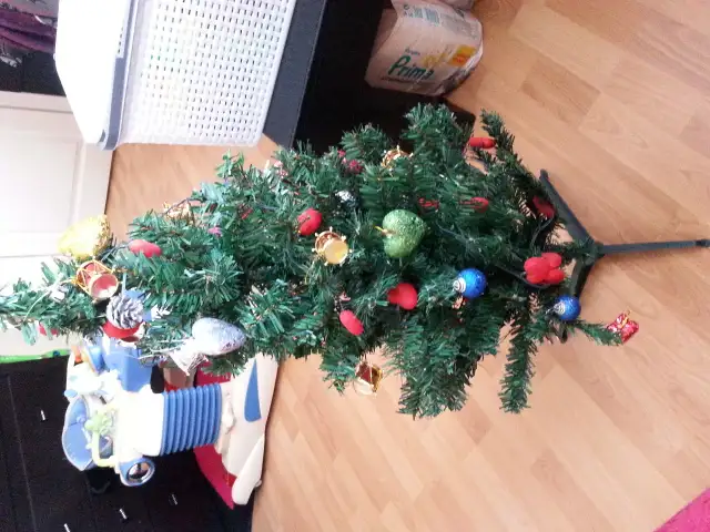 20150807_145134.webp