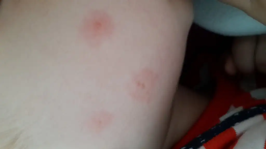 20150808_163517.webp